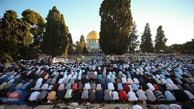 مصر تدين اقتحام وزير إسرائيلي للمسجد الأقصى ورفض الكنيست لإنشاء دولة فلسطينية مصر تدين اقتحام وزير إسرائيلي للمسجد الأقصى ورفض الكنيست لإنشاء دولة فلسطينية