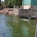 تعليق البيئة على تصريف المياه الملوثة في نهر النيل بالقرب من كوبري الوراق