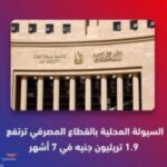 المركزي المصري :ارتفاع السيولة المحلية لدى القطاع المصرفي المصري إلى 10.783 تريليون جنيه بنهاية يوليو 2024