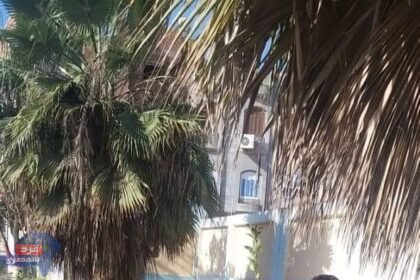 محافظ دمياط يتلقى تقريرًا حول الجهود المبذولة لتنفيذ المبادرة الرئاسية " ١٠٠ مليون شجرة"