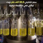بلومبرج: مصر تعاقدت على استيراد 36.6 ألف طن من زيت عباد الشمس الخام