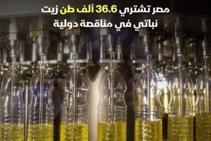 بلومبرج: مصر تعاقدت على استيراد 36.6 ألف طن من زيت عباد الشمس الخام