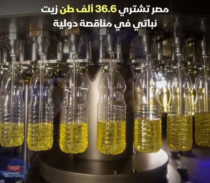 بلومبرج: مصر تعاقدت على استيراد 36.6 ألف طن من زيت عباد الشمس الخام