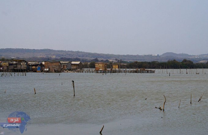 مقتل14 شخصا وإصابة 84 آخرين جراء الأمطار والسيول في السودان