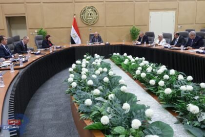 وزير الكهرباء: تغليظ العقوبة على سارقى الكهرباء والتوسع فى تركيب العدادات الكودية