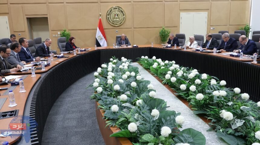 وزير الكهرباء: تغليظ العقوبة على سارقى الكهرباء والتوسع فى تركيب العدادات الكودية