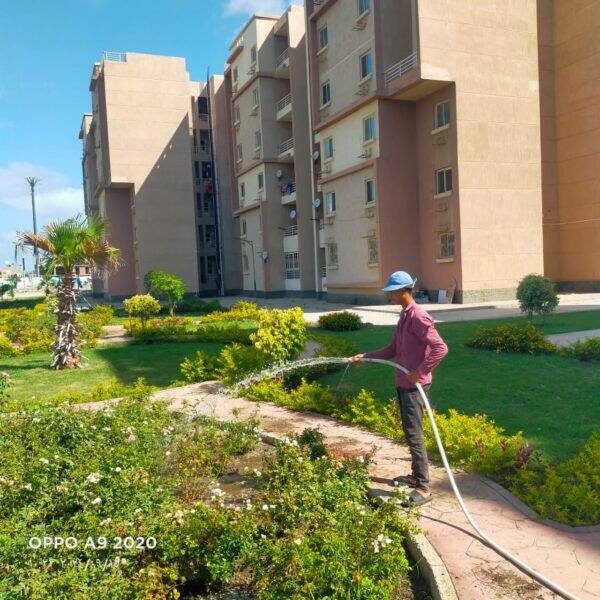 تكثيف فرق العمل لصيانة المسطحات الخضراء والحدائق والمتنزهات بمدينة دمياط الجديدة