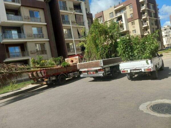 تكثيف فرق العمل لصيانة المسطحات الخضراء والحدائق والمتنزهات بمدينة دمياط الجديدة