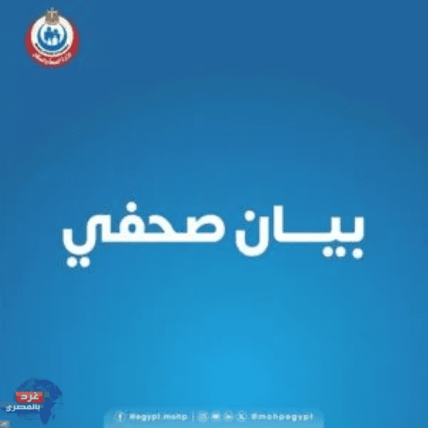 لا تفشيات للالتهاب السحائي في مصر