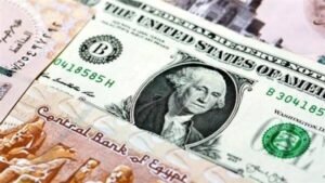 استقرار سعر الدولار مقابل الجنيه المصرى اليوم الأربعاء 30 أكتوبر 2024