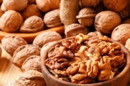 صورة واتساب بتاريخ 2024 10 13 في 19.10.21 a0284e0e