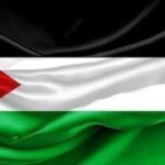 الخارجية المصرية: مصر تحيي اليوم الدولي للتضامن مع الشعب الفلسطيني
