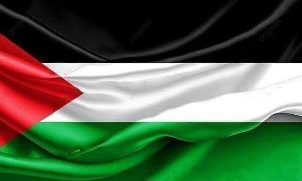 الخارجية المصرية: مصر تحيي اليوم الدولي للتضامن مع الشعب الفلسطيني