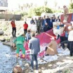 إلقاء مليون وحدة زريعة سمكية في النيل بالمنصورة