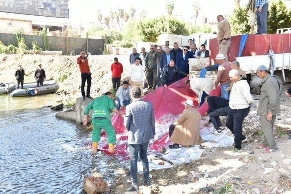 إلقاء مليون وحدة زريعة سمكية في النيل بالمنصورة