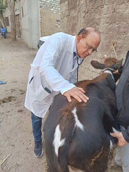جامعة الزقازيق توجه قافلة بيطرية مجانية لقرية كفر النجار مركز أبو كبير بالشرقية