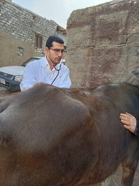 جامعة الزقازيق توجه قافلة بيطرية مجانية لقرية كفر النجار مركز أبو كبير بالشرقية جامعة الزقازيق توجه قافلة بيطرية مجانية لقرية كفر النجار مركز أبو كبير بالشرقية