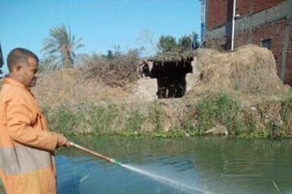 صورة واتساب بتاريخ 2024 11 24 في 21.50.04 99c416b8