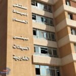 الصحة: تقديم خدمات طبية لملايين المواطنين في دمياط خلال 11 شهراً