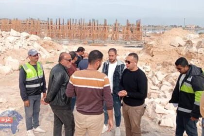 474256953 122117674568621355 1521586700049080806 n e1737311506987