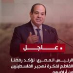 مصر تؤكد دعمها الثابت لفلسطين وحل الدولتين في مواجهة تهجير الفلسطينيين