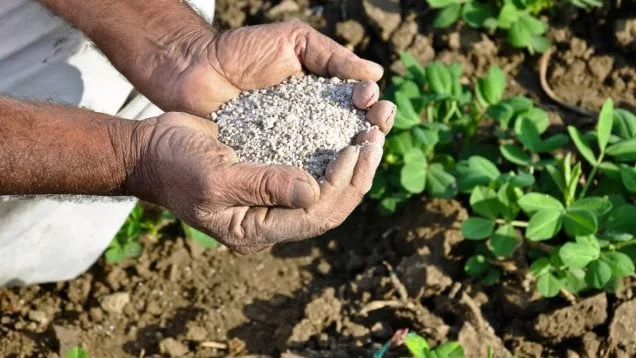 انخفاض أسعار الأسمدة اليوم في الأسواق