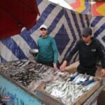 "مع الناس": افتتاح معرض السلع الغذائية المخفضة لحزب الشعب الجمهوري بدمياط