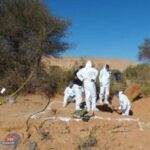 عشرات الجثث في مقابر جماعية لمهاجرين في ليبيا