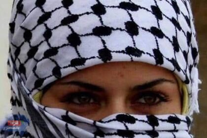 480827777 3938443309752554 5216603513422462280 n