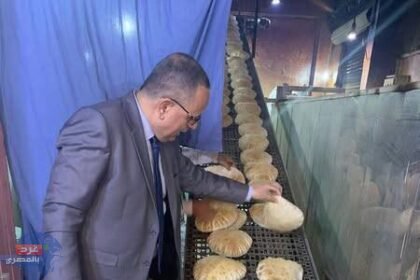 حملة تموينية واسعة تسفر عن ضبط 8 أطنان سلع غذائية وتوثيق 329 مخالفة في الدقهلية