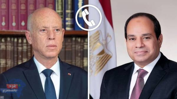 الرئيس السيسي وقيس سعيد يؤكدان رفض تهجير الفلسطينيين وتصفية قضيتهم الرئيس السيسي وقيس سعيد يؤكدان رفض تهجير الفلسطينيين وتصفية قضيتهم