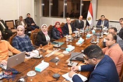 484911287 1175965407907211 8613129925344298196 n