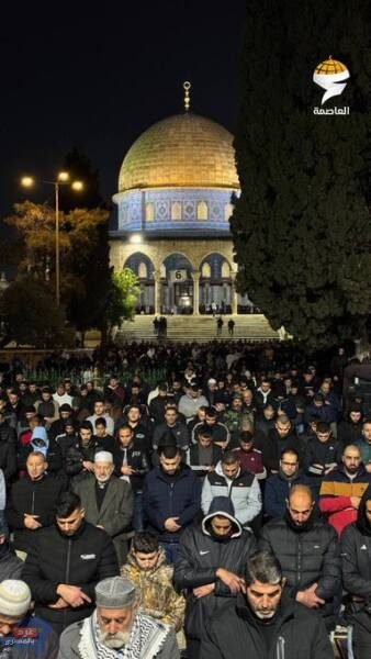 الأقصى عامر بعشاقه.. أعداد كبيرة يؤدون صلاتي العشاء والتراويح في المسجد الأقصى