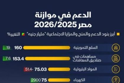 مصر تقلّص دعم المواد البترولية بأكثر من النصف في موازنة 2025-2026