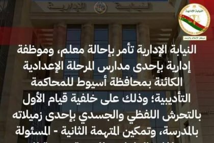 489284396 1091274836371902 6845411178421561793 n e1743875553945