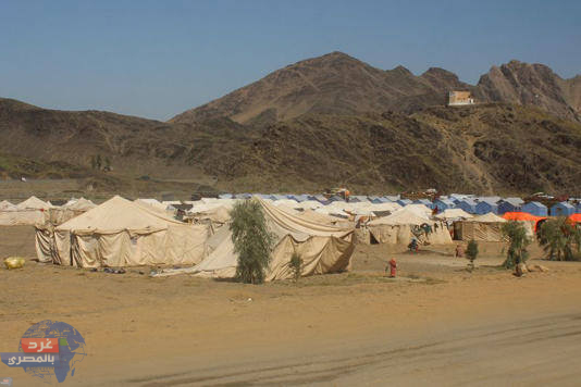 باكستان تطرد أكثر من 80 ألف أفغاني في حملة ترحيل واسعة