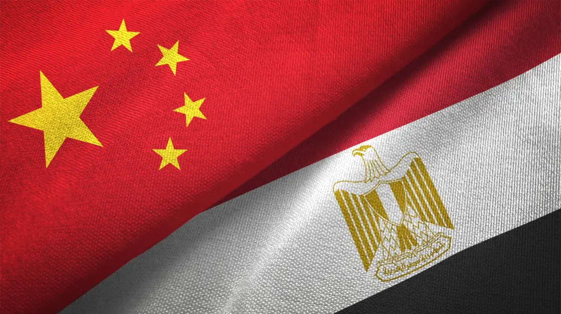 علما مصر والصين