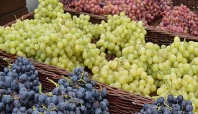 توريد العنب المصري للأسواق الدولية
