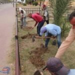 محافظ دمياط يدشن حملة "100 مليون شجرة" بزراعة الأشجار في رأس البر وحديقة بنت الشاطئ محافظ دمياط يدشن حملة "100 مليون شجرة" بزراعة الأشجار في رأس البر وحديقة بنت الشاطئ