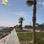 عودة الجمال إلى مارينا: خطة شاملة لتأهيل المسطحات الخضراء وتعزيز الوجهة السياحية