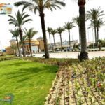 عودة الجمال إلى مارينا: خطة شاملة لتأهيل المسطحات الخضراء وتعزيز الوجهة السياحية