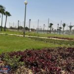 عودة الجمال إلى مارينا: خطة شاملة لتأهيل المسطحات الخضراء وتعزيز الوجهة السياحية