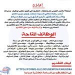 ملتقى توظيفي شامل في دمياط.. فرص واعدة للشباب بمشاركة كبرى الشركات
