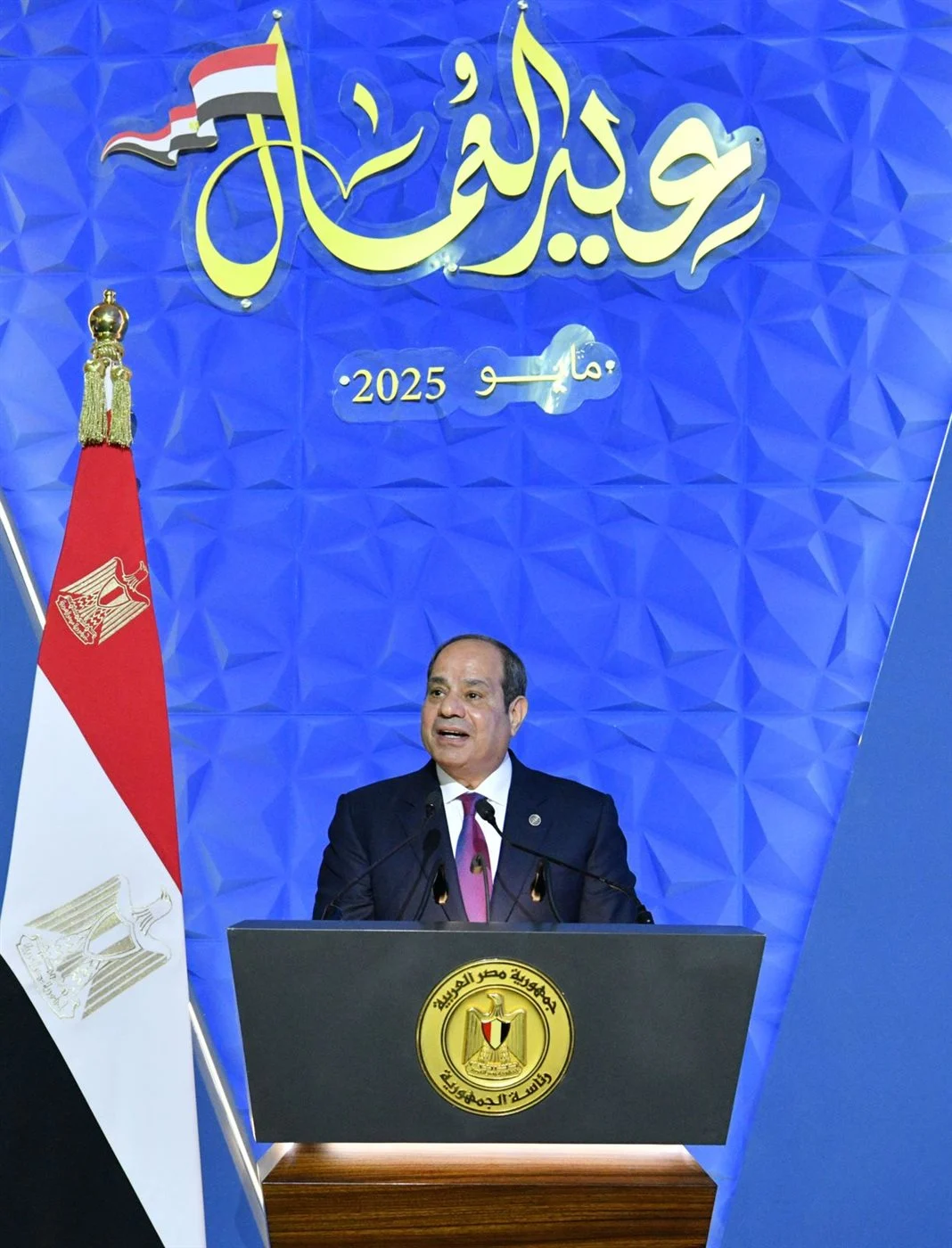 الرئيس السيسي يحتفي ب”عيد العمال” ويكرم المتميزين في شركة السويس للصلب