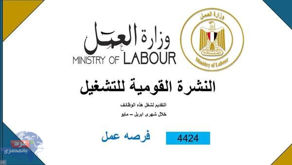فرصة عمل ذهبية للشباب المصري! 4424 وظيفة جديدة متاحة بـ12 محافظة