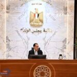مدبولي: الحكومة نفذت 21 صفقة ضمن برنامج الطروحات بقيمة 6 مليارات دولار
