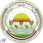 الزراعة تؤكد سلامة الثروة الداجنة في مصر وسط جهود رقابية مكثفة
