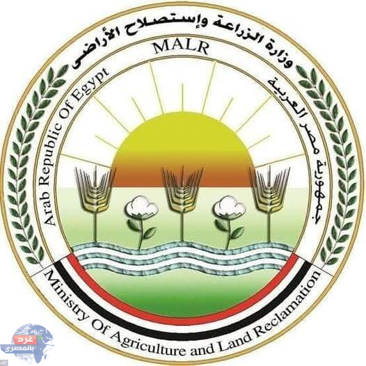 الزراعة تؤكد سلامة الثروة الداجنة في مصر وسط جهود رقابية مكثفة