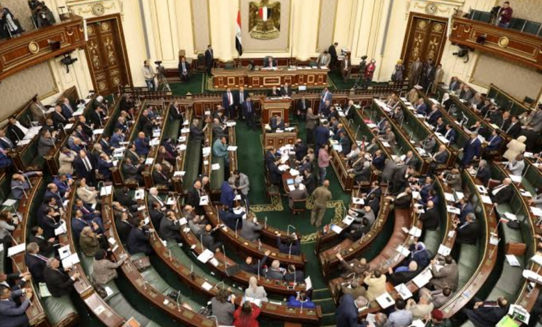 “بشرى سارة”: النواب يوافق على قانون العلاوة وزيادة أجور العاملين بالدولة