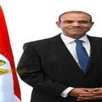 وزير خارجية مصر